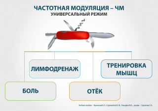 СКЭНАР-1-НТ (исполнение 01)  в Бийске купить Скэнар официальный сайт - denasvertebra.ru 